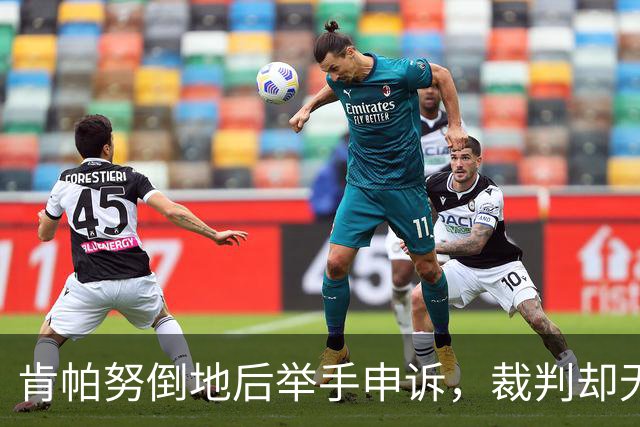 肯帕努倒地后举手申诉，裁判却无动于衷